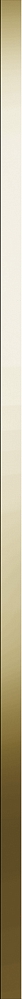 Керамическая плитка Meissen Металлический бордюр Metallic глянцевый золотистый 2x89,8