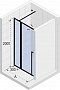 Душевая дверь Riho SZ Lucid GD104 1100 x 2000 Black - 3 изображение