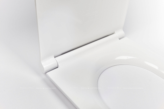 Крышка-сиденье для унитаза Galassia Dream 7315 с микролифтом, белый глянцевый - 3 изображение